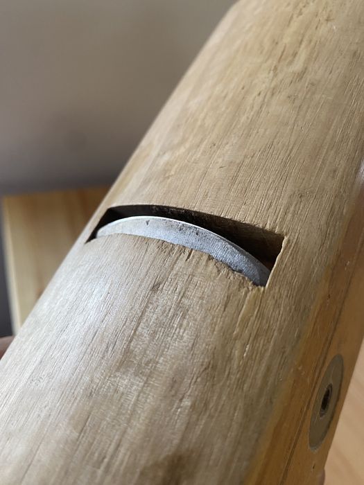 Strug Ulmia profilowy