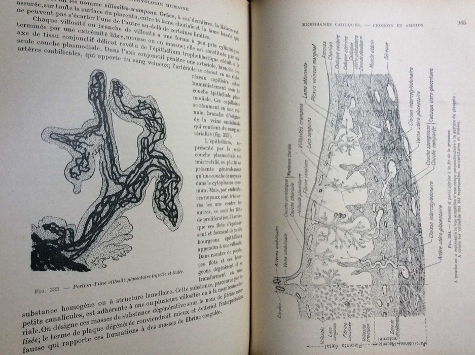 Leçons d'Embryologie Humaine, 1929. Raro