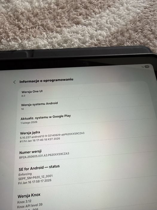 Samsung Galaxy Tab S6 Lite 2024