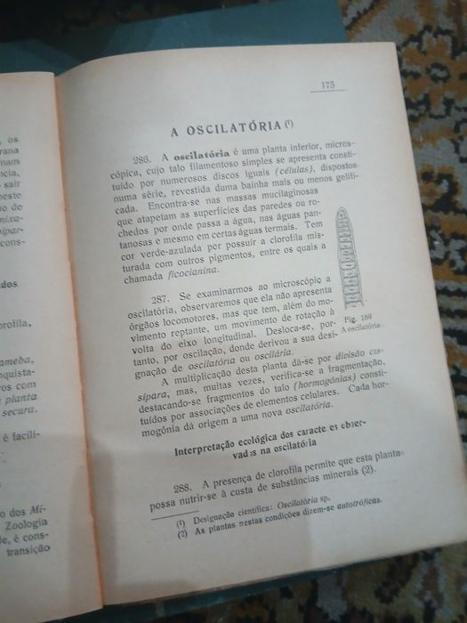 Américo Areal, Compêndio de Botânica