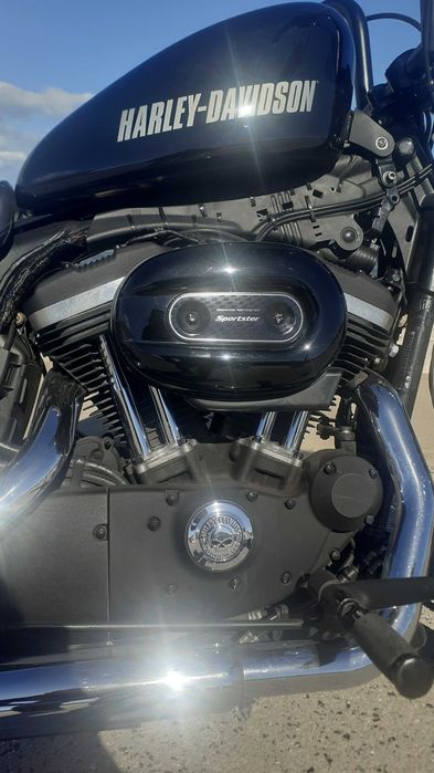 Harley Davidson  Roadster 1200