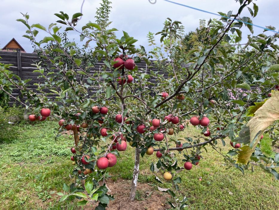 Продається будинок 40 хв від Київа, розвінена інфраструктура.