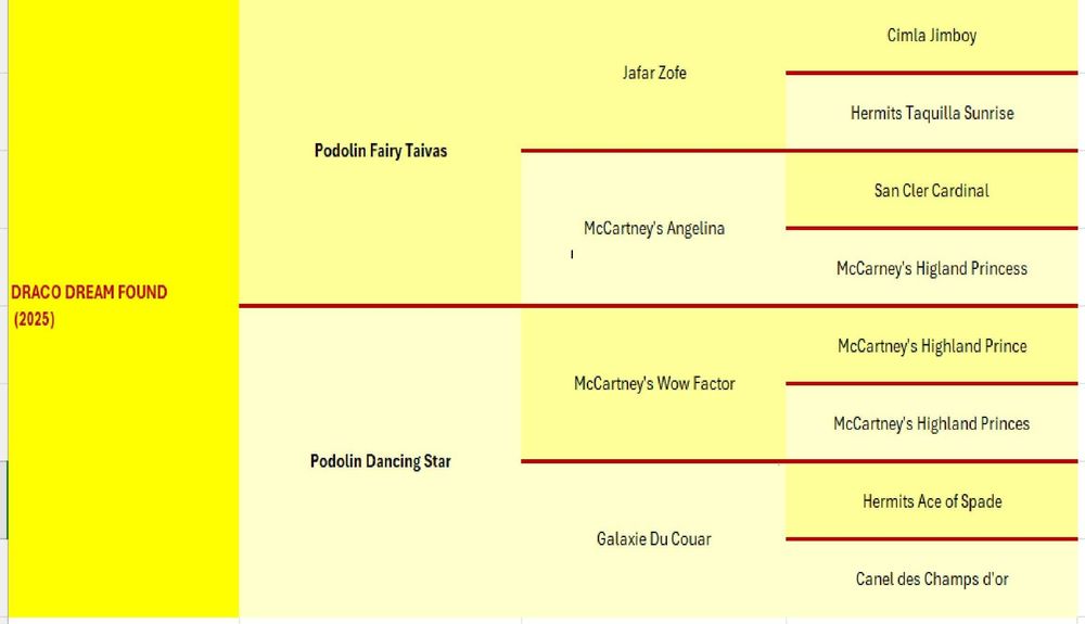 Ogierek Gypsy Cob 2025 r. -  gen perły, pełne badania, paszport ICS