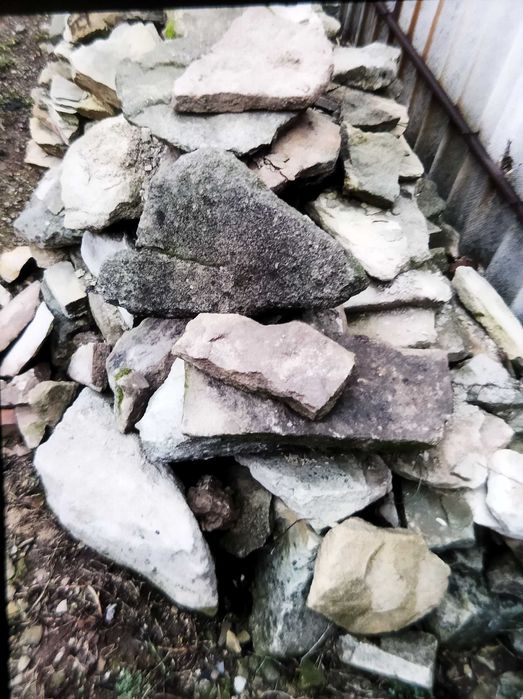 Дикий камень пластушка