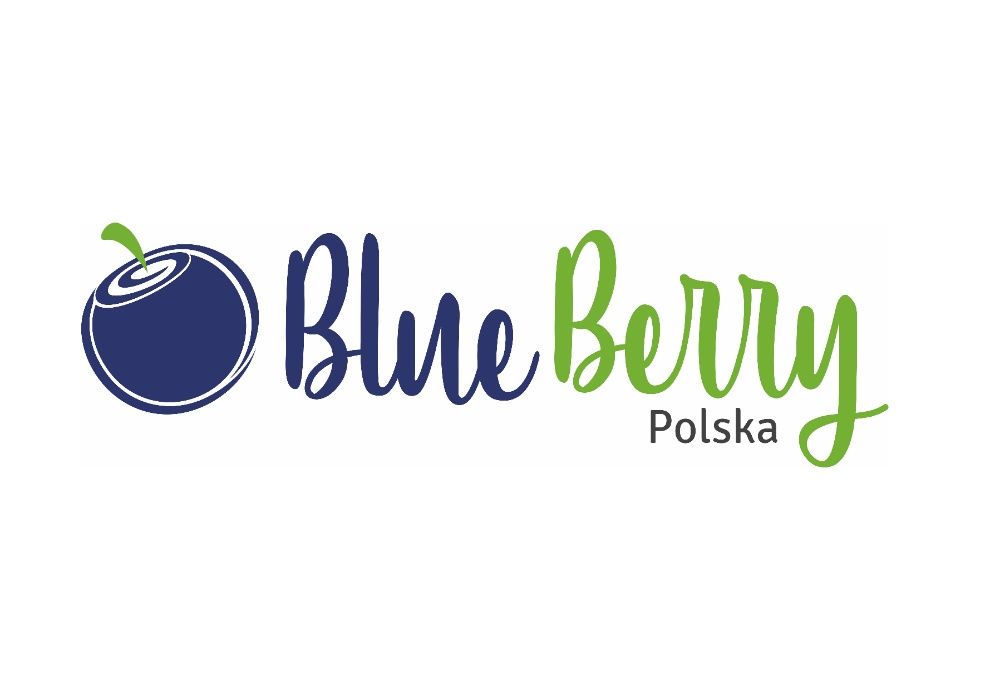 Sadzonki Borówki Amerykańskiej 5 letnie w donicy 20 L