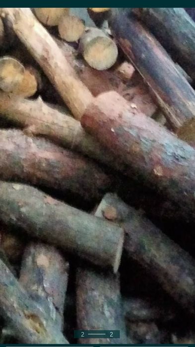 Дрова Дуб Ясень Акация