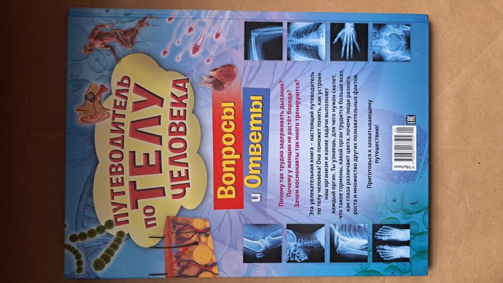 Путеводитель по телу человека/Вопросы и ответы