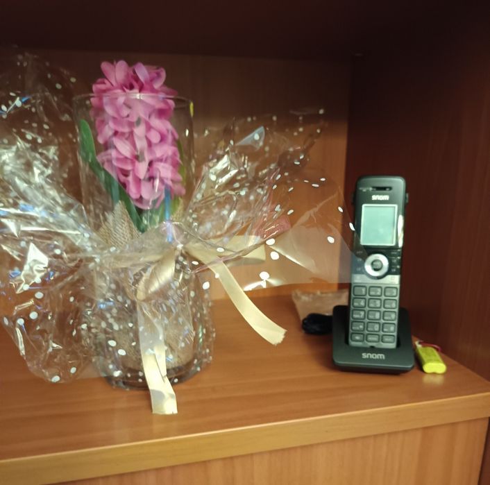 SNOM M110SC base 8 Linhas + telefone SIP DECT