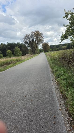 Sprzedam działkę budowlaną o pow. 1.5 ha w miejscowości Krępa