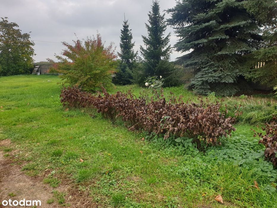 Działka w świetnej lokalizacji - Widok 4