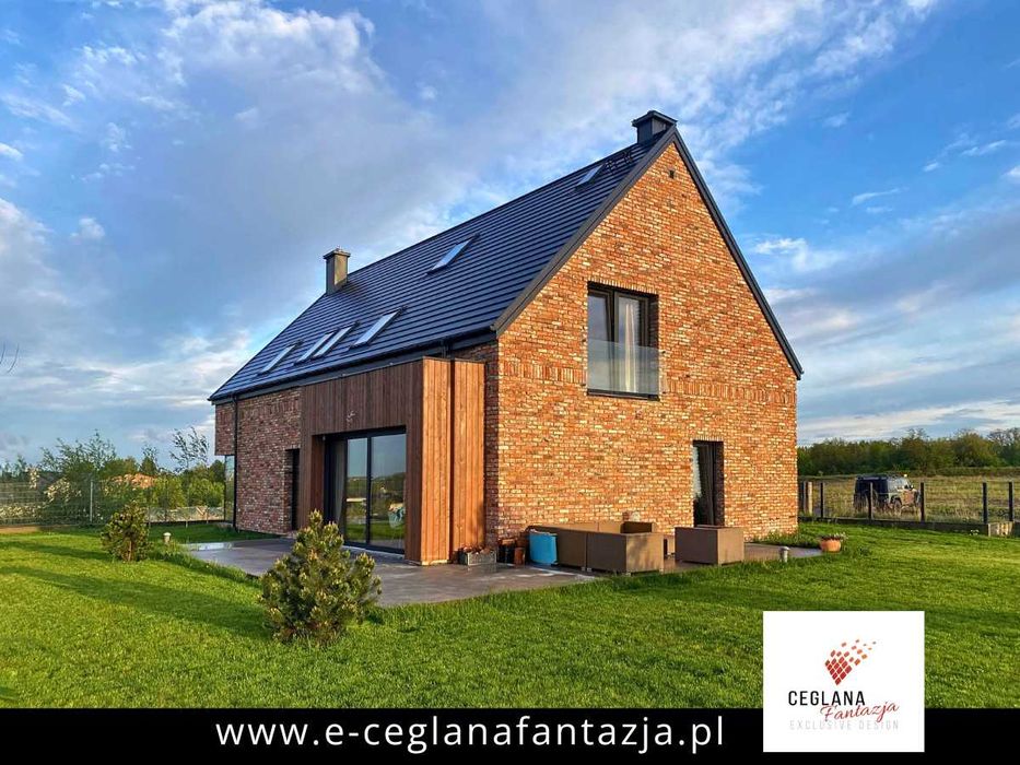 Cegła na Ścianę Elewacje Płytki Ceglane Dekoracyjne Ozdobne Lico Cegły