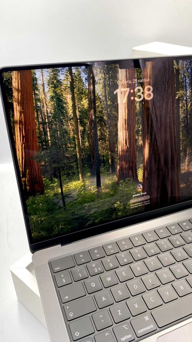 Apple MacBook Pro 14" M4 16/512GB Space Black (MW2U3) 2024