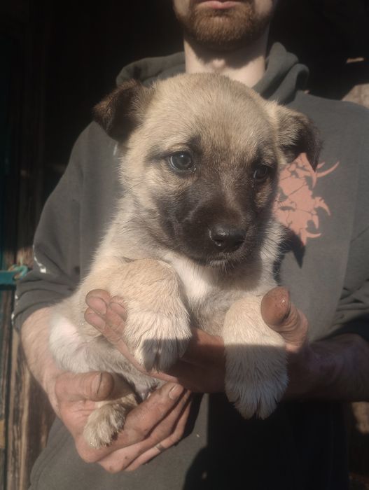 Хлопчик 2 міс вакцинован