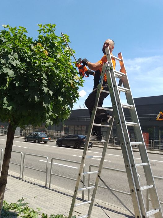 ОБРЕЗКА деревьев и кустарников Каменское