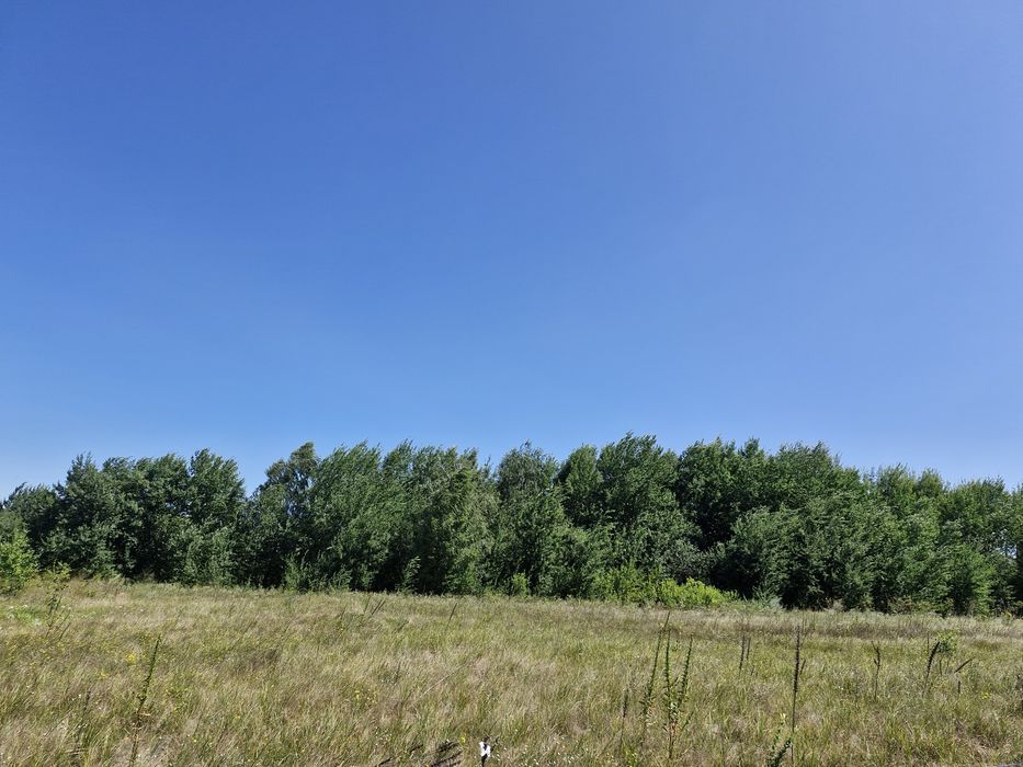 Земельна ділянка з прямим виходом на  водоймище та ліс