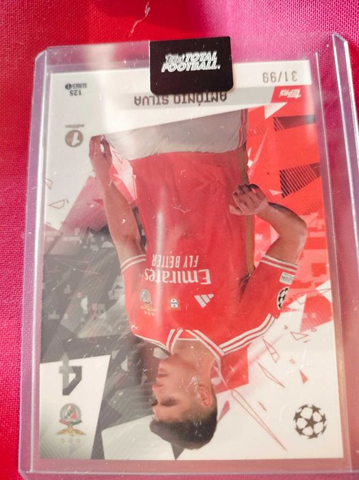 Cards António Silva Benfica