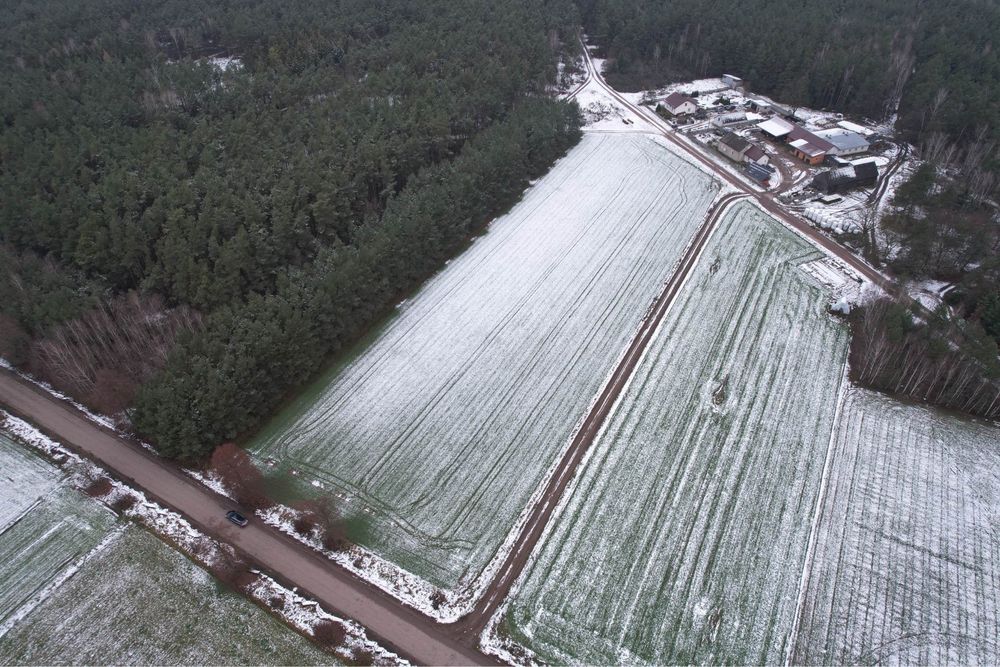 Działka budowlana z prywatnym lasem 3850 m² - Widok 2