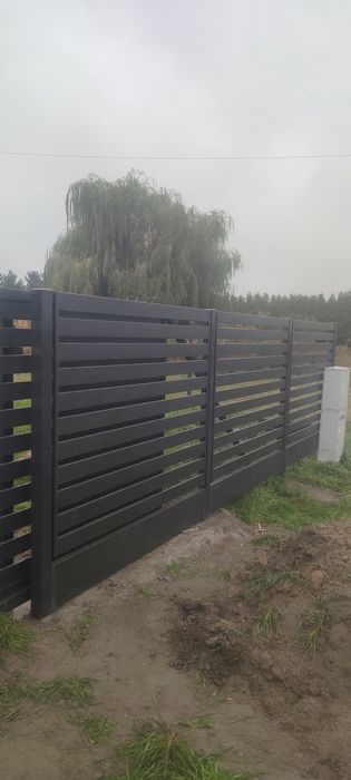 Ogrodzenia frontowe , panelowe ,  2D 3D