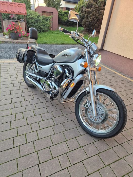 Suzuki VS Suzuki VS 800 Boulevard