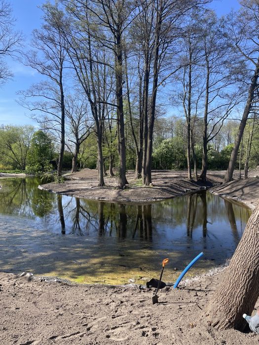 Kopanie stawu, koparka Long, długie ramie, roboty ziemne, staw, wykopy