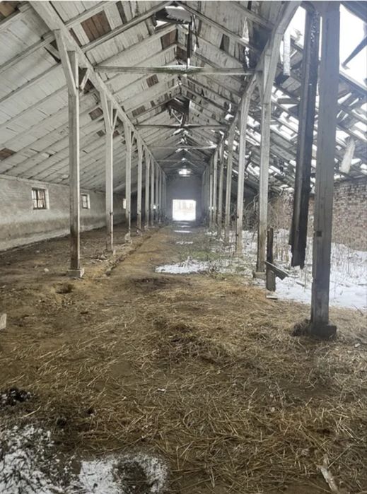 Ферма • Тваринницький комплекс • Виробнича база • Агропідприємство • Земельна ділянка промислового призначення
