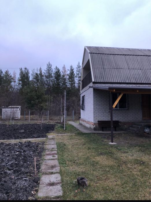 Продам дачу біля лісу