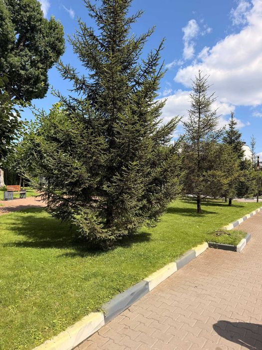 Продаж готового таунхауса з гаражем і відкритою терасою з басейном! Без комісії