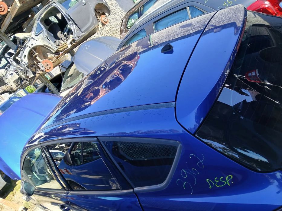 Tejadilho FORD C-Max II (DXA/CB7, DXA/CEU)