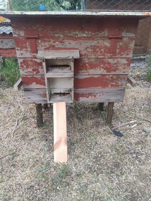 Вулики з бджолами