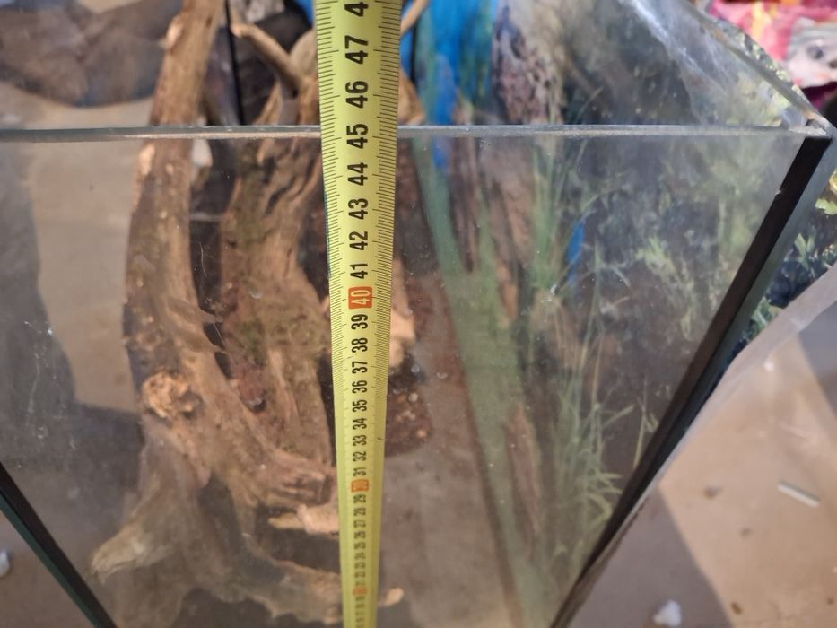 Terrarium dla jaszczurki węża 80x45x35