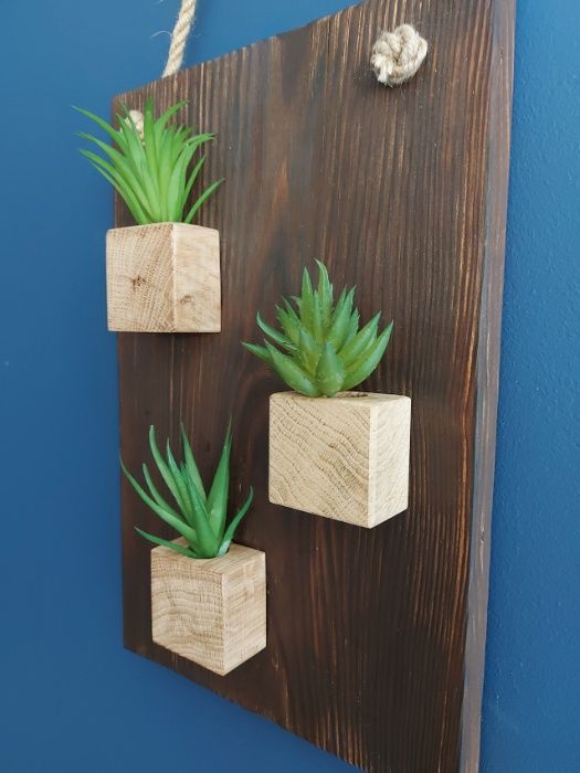 Doniczki na oplątwy, Tillandsia, dekoracja, kompozycja ścienna.
