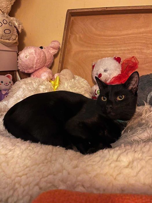 Bracia - Seneka i Sokrates