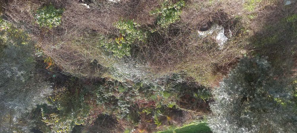 Vendo casa para recuperar.