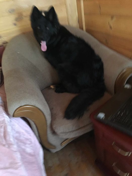 Гарний парубок Німець шукає собі дівчінку для шаленного коханняо