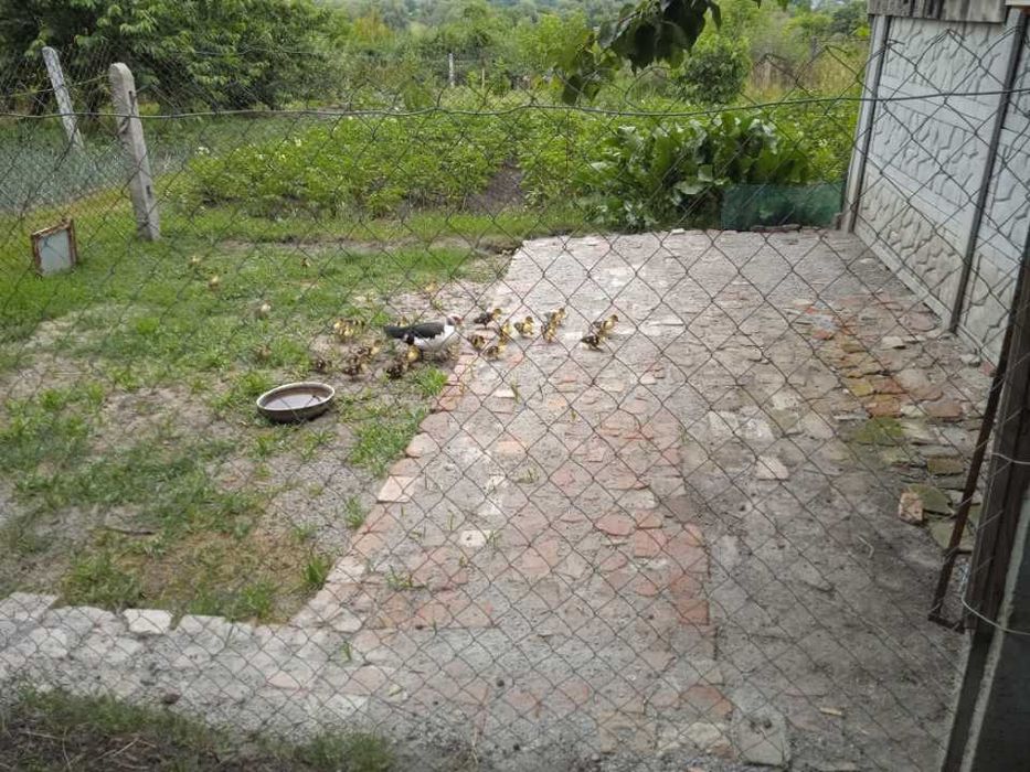 Неповнотіла червона цегла: половинки, четвертинки, неповні частини