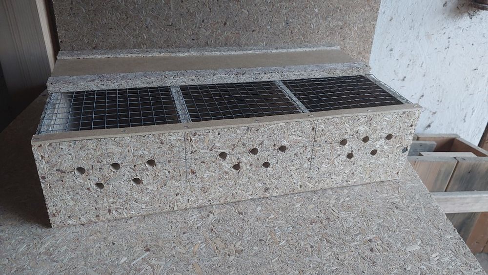 Transportówka, transporter klatka transportowa dla Wiewiórek, papug, ptaków