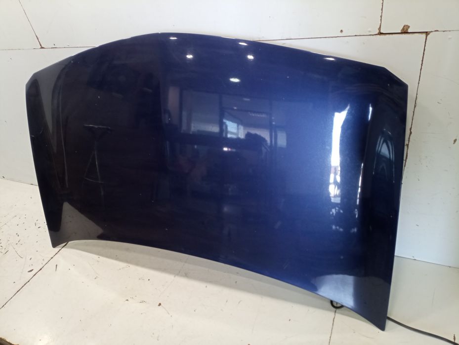 Capot - renault megane ii (bm0/1_, cm0/1_) | 01 - 12