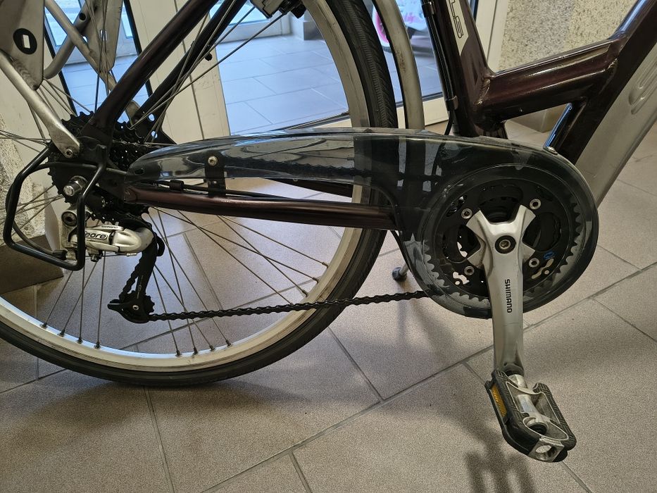 Rower holenderski damka