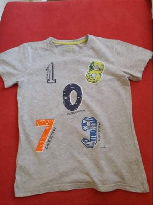 Koszulka dla chłopca f. endo