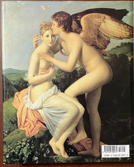 Paintings in the Louvre by Lawrence Gowing 1994