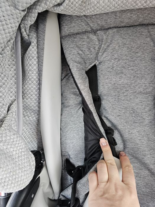 Bebetto bresso  premium