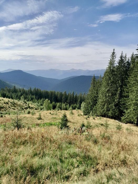 Будинок у Карпатах з банею та каміном "Перлина Прикарпаття"