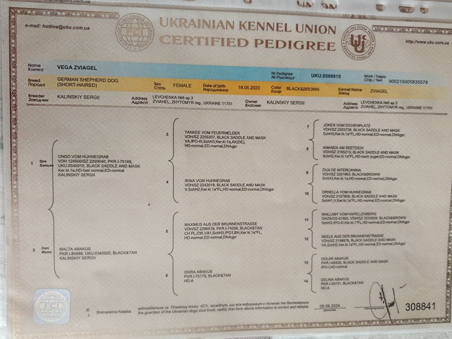 Розплідник  "ZVIAGEL" пропонує