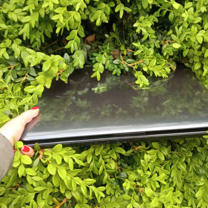 Ноутбук Toshiba Satellite