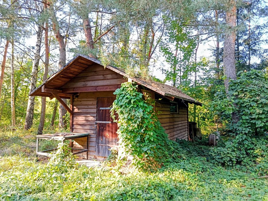 Zdjęcie 6