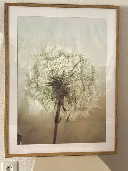 Quadros + Tela esrilo boho novos