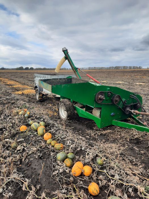 Гарбузовий комбайн