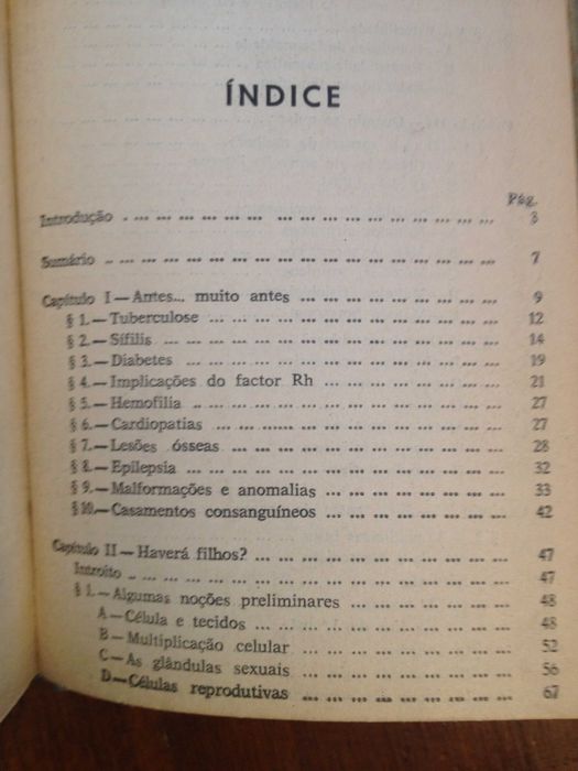 Ramiro da Fonseca - Mãe e filho (2 vols.)