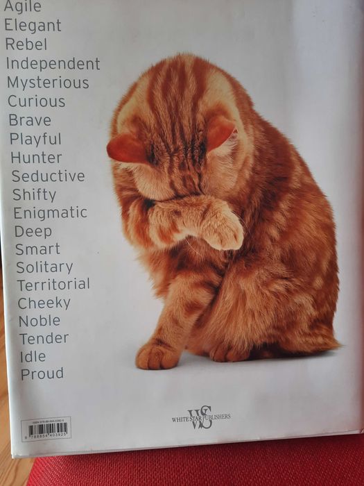 A CAT'' S LIFE edicao de soberbas fotografias  by Jane Burton