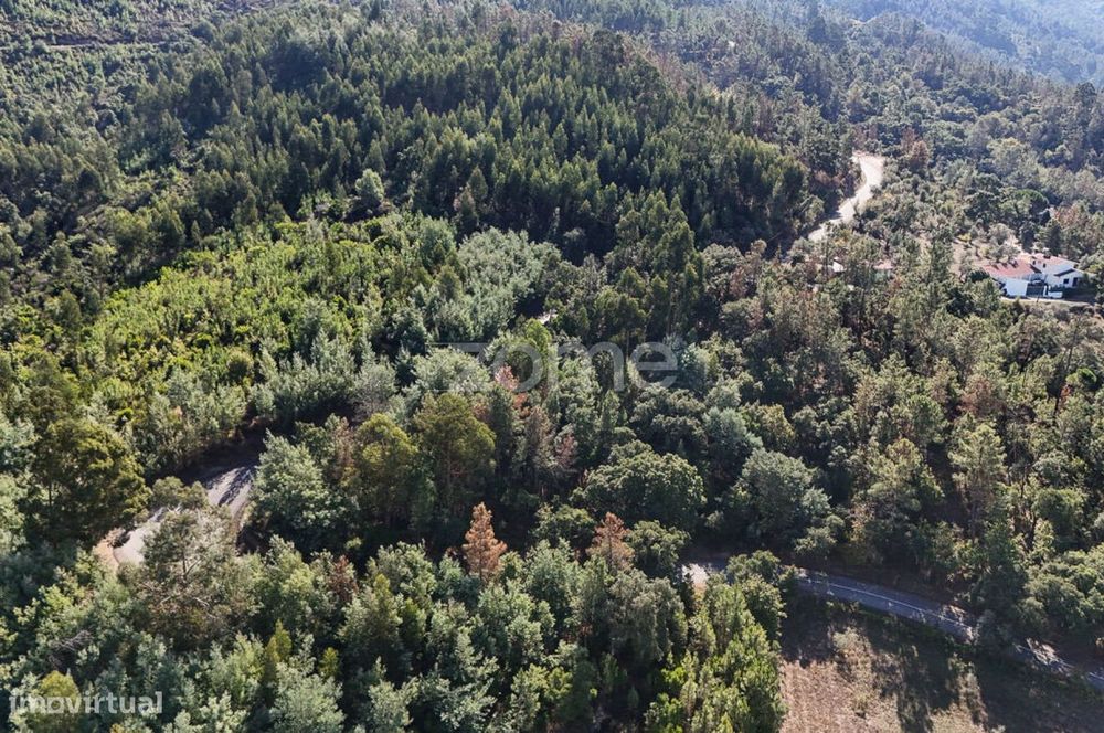 Terreno em Folques, Arganil